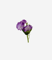 Peony